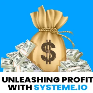 unleashing profit with systeme